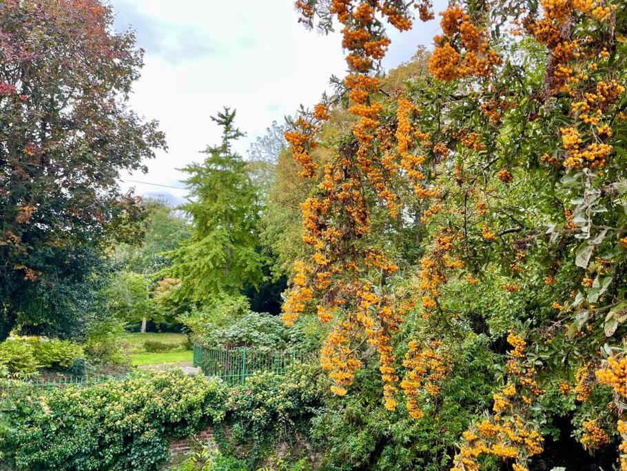 Vernon Place Town Centre, Vernon Cottage 3-Bed With Parking, 1A Vernon Court 2-Bed With Parking, 1B Studio No Parking, Off The High Street Next To Sandford Park Cheltenham Buitenkant foto
