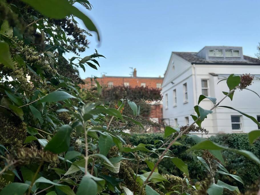 Vernon Place Town Centre, Vernon Cottage 3-Bed With Parking, 1A Vernon Court 2-Bed With Parking, 1B Studio No Parking, Off The High Street Next To Sandford Park Cheltenham Buitenkant foto